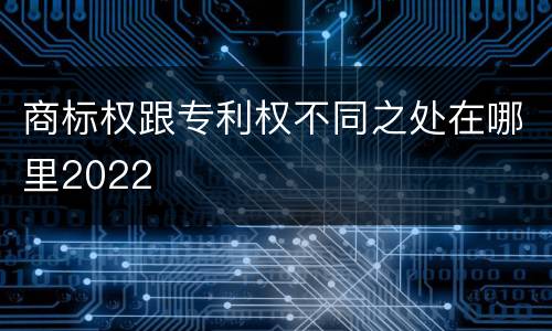 商标权跟专利权不同之处在哪里2022
