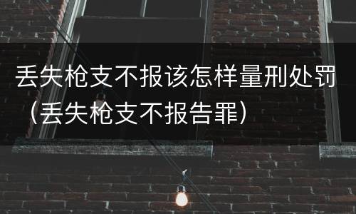 丢失枪支不报该怎样量刑处罚（丢失枪支不报告罪）