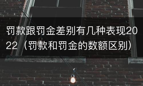 罚款跟罚金差别有几种表现2022（罚款和罚金的数额区别）
