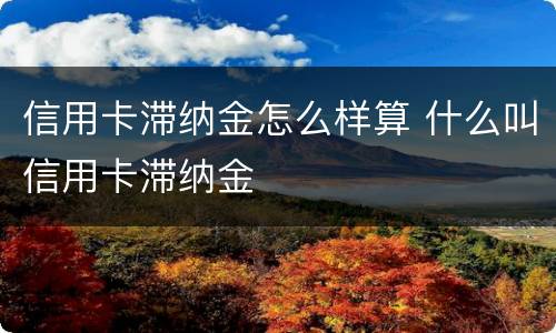 信用卡滞纳金怎么样算 什么叫信用卡滞纳金