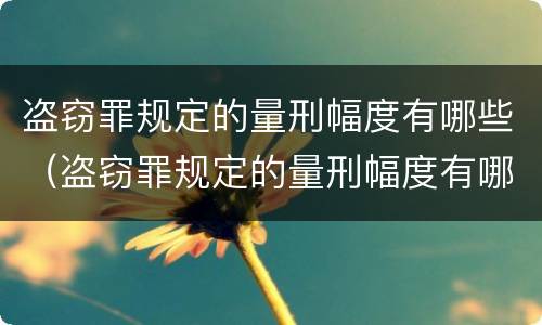 盗窃罪规定的量刑幅度有哪些（盗窃罪规定的量刑幅度有哪些限制）