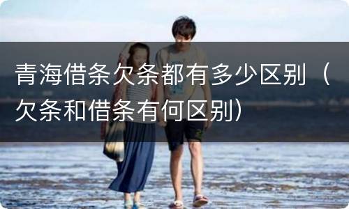 青海借条欠条都有多少区别（欠条和借条有何区别）