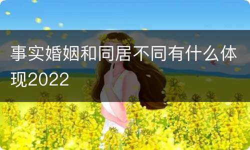 事实婚姻和同居不同有什么体现2022