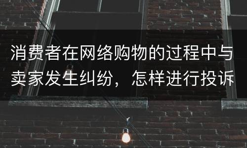 消费者在网络购物的过程中与卖家发生纠纷，怎样进行投诉