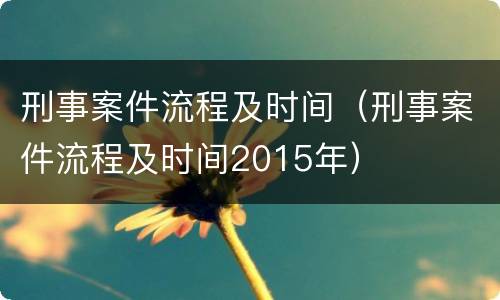 刑事案件流程及时间（刑事案件流程及时间2015年）