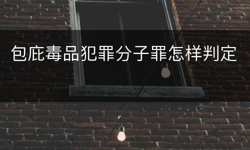 包庇毒品犯罪分子罪怎样判定