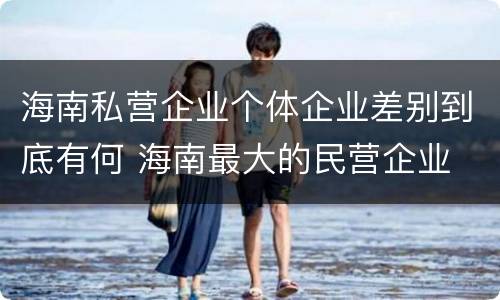 海南私营企业个体企业差别到底有何 海南最大的民营企业