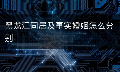 黑龙江同居及事实婚姻怎么分别