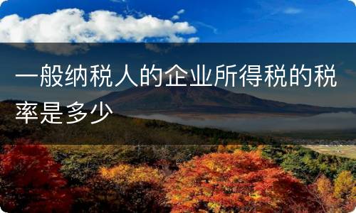 一般纳税人的企业所得税的税率是多少