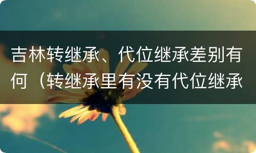 吉林转继承、代位继承差别有何（转继承里有没有代位继承）