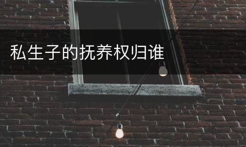 私生子的抚养权归谁