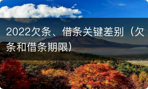 2022欠条、借条关键差别（欠条和借条期限）