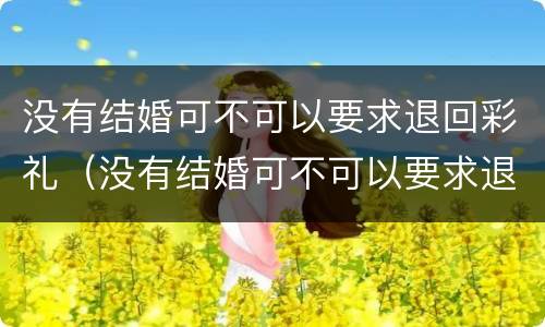 没有结婚可不可以要求退回彩礼（没有结婚可不可以要求退回彩礼呢）