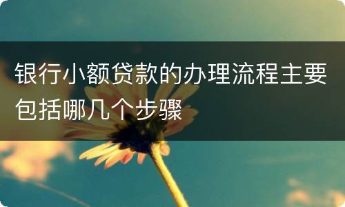 银行小额贷款的办理流程主要包括哪几个步骤