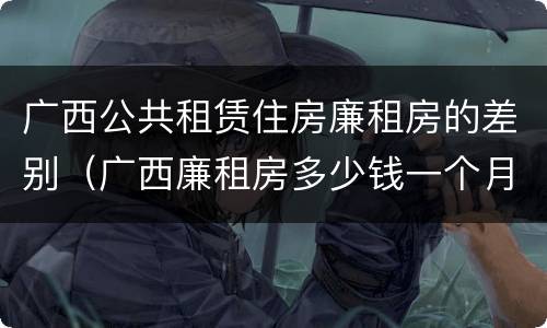 广西公共租赁住房廉租房的差别（广西廉租房多少钱一个月）