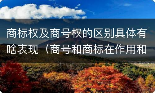 商标权及商号权的区别具体有啥表现（商号和商标在作用和性质上的区别）