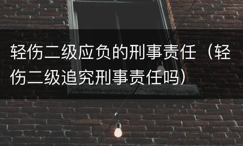 轻伤二级应负的刑事责任（轻伤二级追究刑事责任吗）