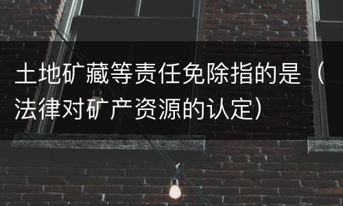 土地矿藏等责任免除指的是（法律对矿产资源的认定）