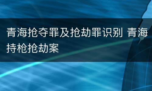 青海抢夺罪及抢劫罪识别 青海持枪抢劫案
