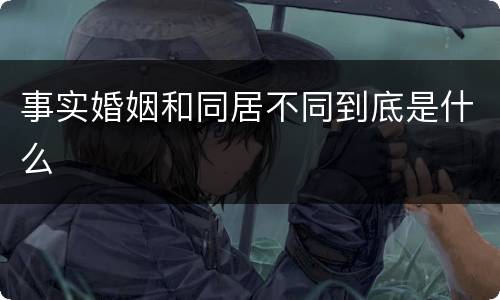 事实婚姻和同居不同到底是什么