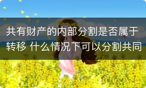 共有财产的内部分割是否属于转移 什么情况下可以分割共同财产