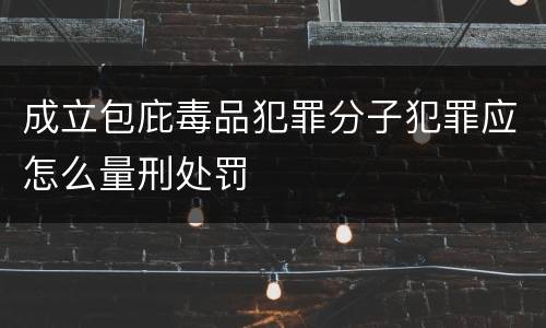 成立包庇毒品犯罪分子犯罪应怎么量刑处罚