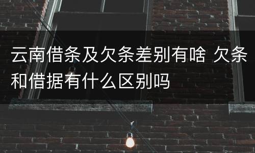 云南借条及欠条差别有啥 欠条和借据有什么区别吗