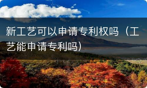 新工艺可以申请专利权吗（工艺能申请专利吗）