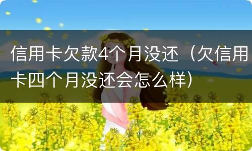 信用卡欠款4个月没还(欠信用卡四个月没还会怎么样)
