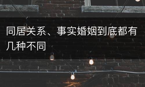 同居关系、事实婚姻到底都有几种不同