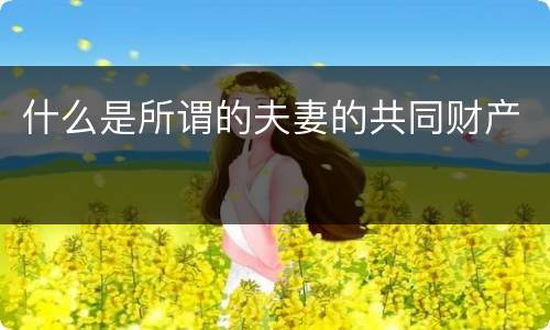 什么是所谓的夫妻的共同财产