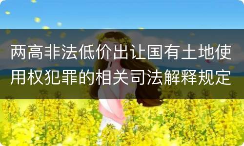 两高非法低价出让国有土地使用权犯罪的相关司法解释规定主要内容是什么
