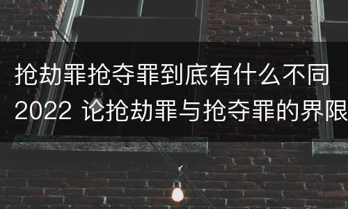 抢劫罪抢夺罪到底有什么不同2022 论抢劫罪与抢夺罪的界限