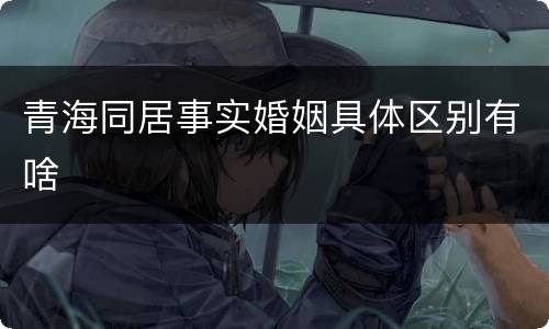 青海同居事实婚姻具体区别有啥