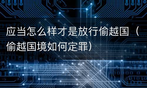 应当怎么样才是放行偷越国（偷越国境如何定罪）