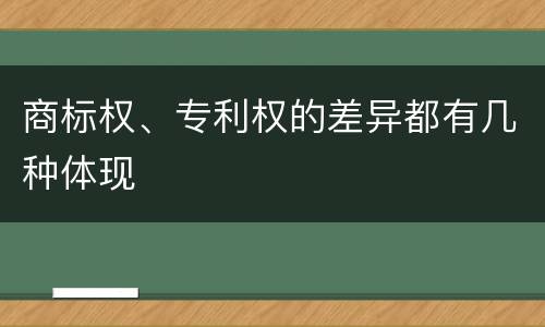 商标权、专利权的差异都有几种体现