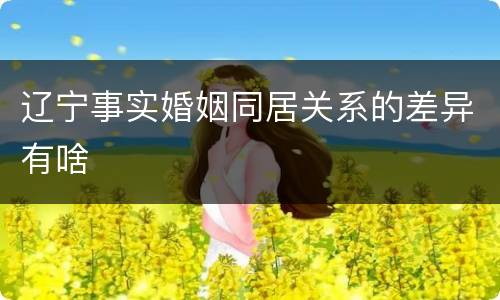 辽宁事实婚姻同居关系的差异有啥