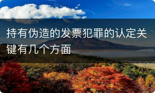 持有伪造的发票犯罪的认定关键有几个方面
