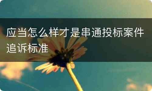 应当怎么样才是串通投标案件追诉标准