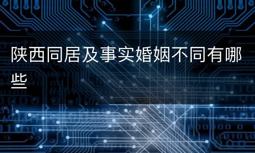 陕西同居及事实婚姻不同有哪些