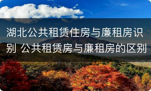 湖北公共租赁住房与廉租房识别 公共租赁房与廉租房的区别