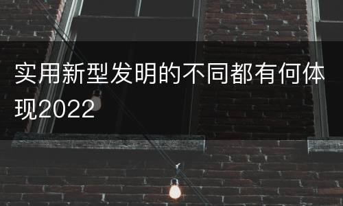 实用新型发明的不同都有何体现2022