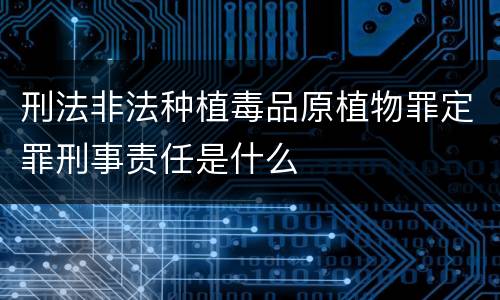 刑法非法种植毒品原植物罪定罪刑事责任是什么