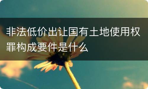 非法低价出让国有土地使用权罪构成要件是什么