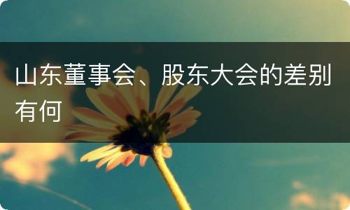 山东董事会、股东大会的差别有何