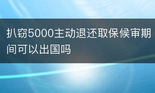 扒窃5000主动退还取保候审期间可以出国吗