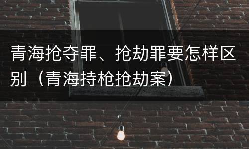 青海抢夺罪、抢劫罪要怎样区别（青海持枪抢劫案）