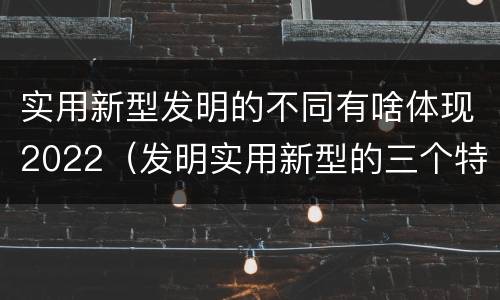 实用新型发明的不同有啥体现2022（发明实用新型的三个特点）