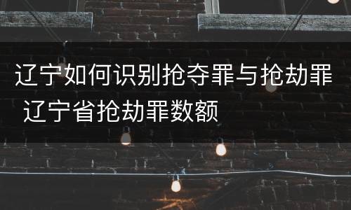 辽宁如何识别抢夺罪与抢劫罪 辽宁省抢劫罪数额
