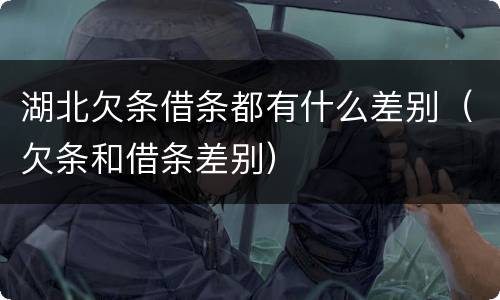 湖北欠条借条都有什么差别（欠条和借条差别）